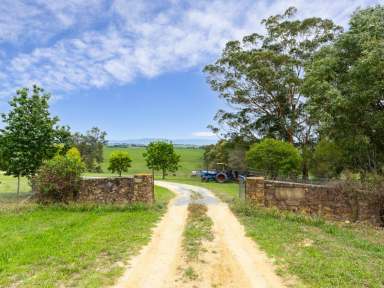 Farm For Sale - NSW - Candelo - 2550 - COUNTRY LIVING  (Image 2)