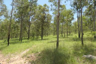 Farm For Sale - NSW - Rocky River - 2372 - A NATURE TRAIL  (Image 2)