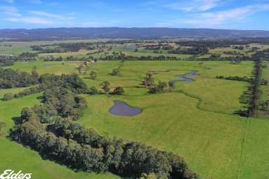 Farm For Sale - VIC - Yarram - 3971 - HIGHLY PRODUCTIVE ALLUVIAL SOILS  (Image 2)