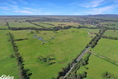 Farm For Sale - VIC - Yarram - 3971 - HIGHLY PRODUCTIVE ALLUVIAL SOILS  (Image 2)