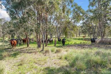 Farm For Sale - QLD - Dalveen - 4374 - STUNNING HIGH-COUNTRY VACANT LAND WITH EXCELLENT INFRASTRUCTURE  (Image 2)