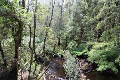 Farm For Sale - TAS - Trowutta - 7330 - Attention! Hidden Bush Block Gem 25.08 HA  (Image 2)