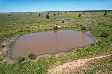 Farm For Sale - NSW - Dandaloo - 2823 - Exceptional fattening country  (Image 2)