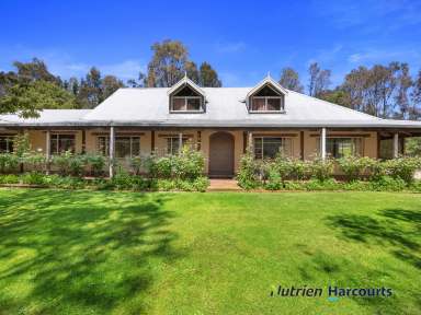 Farm For Sale - VIC - Yea - 3717 - Unique Mudbrick Home with Additional Dwelling  (Image 2)