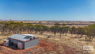 Farm For Sale - WA - Toodyay - 6566 - Escape to the Countryside – Your Rural Getaway Awaits! 5.01 acres  (Image 2)