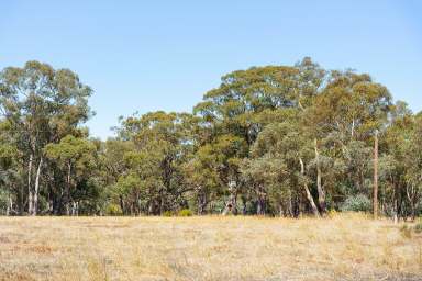 Farm For Sale - VIC - Arnold - 3551 - Hidden Corner  (Image 2)