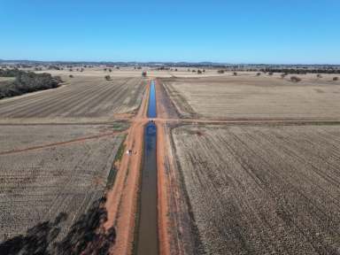 Farm For Sale - NSW - Forbes - 2871 - Development Opportunity In Nascent Cotton Valley  (Image 2)