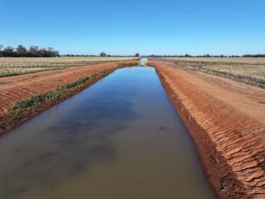 Farm For Sale - NSW - Forbes - 2871 - Development Opportunity In Nascent Cotton Valley  (Image 2)