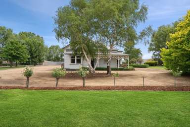 Farm For Sale - VIC - Camperdown - 3260 - 'FAIRFORD' - A Great Family Home  (Image 2)