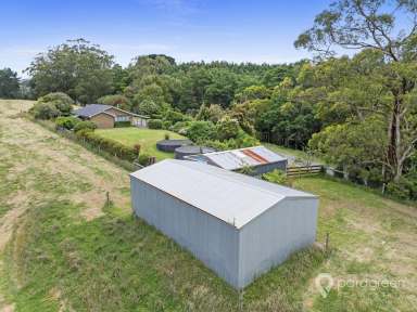 Farm For Sale - VIC - Woorarra West - 3960 - RETRO ACREAGE OPPORTUNITY  (Image 2)