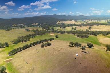 Farm Auction - VIC - Meadow Creek - 3678 - King Valley Grazing - Opulent Lifestyle Awaits  (Image 2)