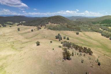 Farm Auction - VIC - Meadow Creek - 3678 - King Valley Grazing - Opulent Lifestyle Awaits  (Image 2)