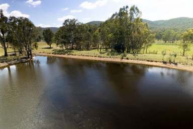 Farm Auction - VIC - Moyhu - 3732 - King Valley Grazing - Opulent Lifestyle Awaits  (Image 2)