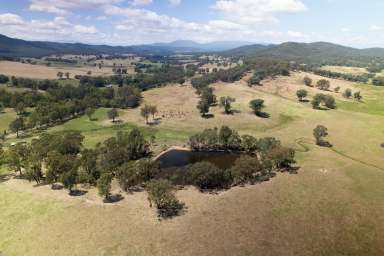 Farm Auction - VIC - Moyhu - 3732 - King Valley Grazing - Opulent Lifestyle Awaits  (Image 2)