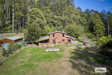 Farm For Sale - TAS - Gunns Plains - 7315 - "TOWERING GUMS" - 9.39 HECTARES (23.1 acres)  (Image 2)