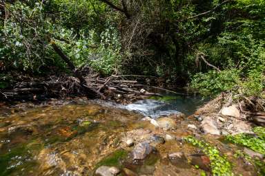 Farm For Sale - NSW - Valery - 2454 - The Valery Dream Awaits  (Image 2)