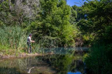 Farm For Sale - NSW - Valery - 2454 - The Valery Dream Awaits  (Image 2)