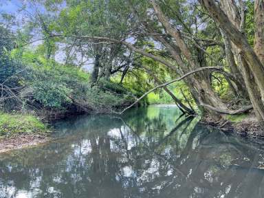 Farm For Sale - NSW - Laguna - 2325 - 'Girraween' - Character Home in a Natural Paradise  (Image 2)