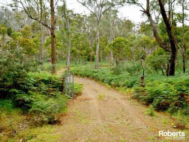 Farm For Sale - TAS - Hamilton - 7140 - 100 Acres - Nestled in the heart of nature  (Image 2)