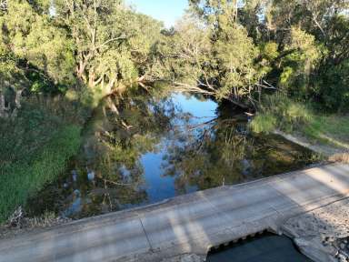 Farm For Sale - QLD - Bloomsbury - 4799 - O'Connell River Farming & Grazing  (Image 2)