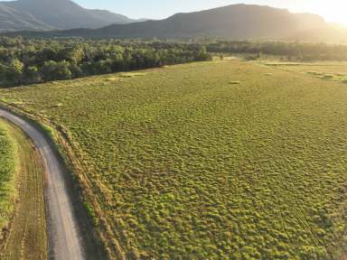 Farm For Sale - QLD - Bloomsbury - 4799 - O'Connell River Farming & Grazing  (Image 2)