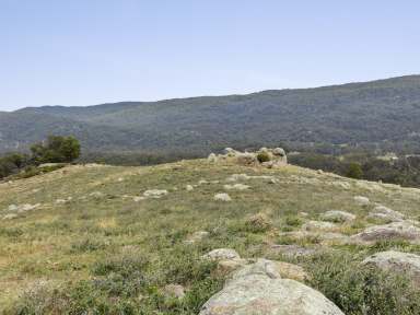 Farm For Sale - VIC - Trawool - 3660 - OWN A MOUNTAIN IN TRAWOOL - 776 Acres approx.  (Image 2)