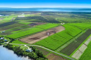 Farm Auction - NSW - East Wardell - 2477 - Large family home on the banks of the Richmond River  (Image 2)