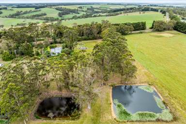 Farm For Sale - VIC - Scotts Creek - 3267 - Unmissable Scott's Creek Lifestyle Property on 32 Acres  (Image 2)