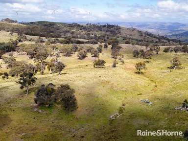 Farm For Sale - NSW - Sallys Flat - 2850 - 763 ACRES OF RURAL OPPORTUNITY  (Image 2)