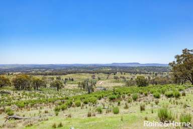 Farm For Sale - NSW - Sallys Flat - 2850 - 763 ACRES OF RURAL OPPORTUNITY  (Image 2)