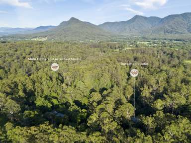 Farm For Sale - NSW - Bellingen - 2454 - Gleniffer's Peaceful, Private Sanctuary with sustainable living and income potential  (Image 2)