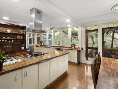 Farm For Sale - NSW - Bellingen - 2454 - Gleniffer's Peaceful, Private Sanctuary with sustainable living and income potential  (Image 2)