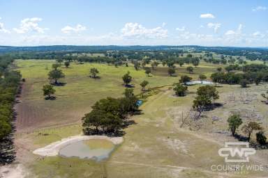 Farm For Sale - NSW - Emmaville - 2371 - "‘Deloraine’ – A Practical Grazing Property with Solid Infrastructure and Reliable Water"  (Image 2)