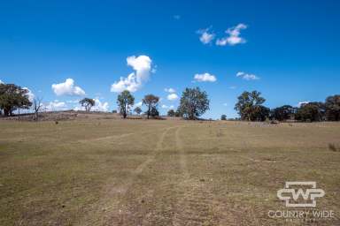 Farm For Sale - NSW - Emmaville - 2371 - "‘Deloraine’ – A Practical Grazing Property with Solid Infrastructure and Reliable Water"  (Image 2)