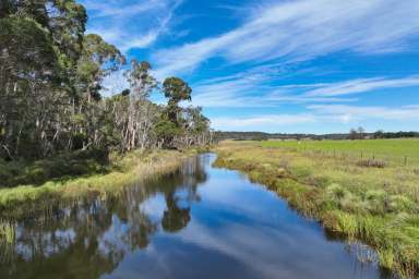 Farm For Sale - NSW - Paddys River - 2577 - Large Scale Southern Highlands Farm  (Image 2)