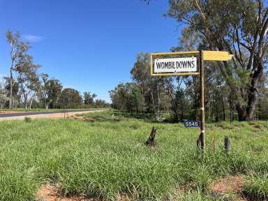 Farm For Sale - QLD - Dirranbandi - 4486 - Versatile Mixed Farm With Plenty Of Upside  (Image 2)