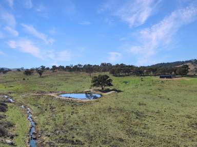 Farm For Sale - NSW - Wiagdon - 2795 - "Cheshire Park"  (Image 2)