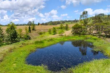 Farm For Sale - NSW - Dungog - 2420 - Your Second Chance Awaits  (Image 2)