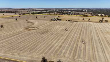 Farm Auction - SA - Bordertown - 5268 - Prime Cropping Country  (Image 2)