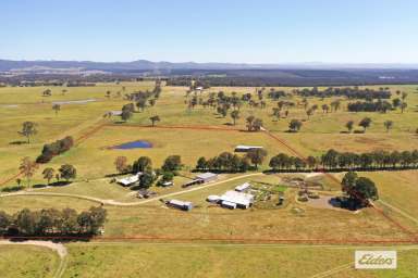 Farm For Sale - VIC - Munro - 3862 - Secluded 22 Acres with Homestead  (Image 2)