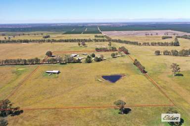 Farm For Sale - VIC - Munro - 3862 - Secluded 22 Acres with Homestead  (Image 2)