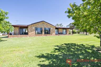 Farm For Sale - NSW - Dubbo - 2830 - Country Road Take Me Home!  (Image 2)