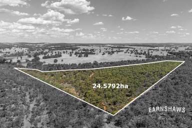 Farm For Sale - WA - Gidgegannup - 6083 - More Than Land - It's A Dream  (Image 2)