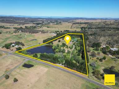 Farm For Sale - NSW - Wamboin - 2620 - Four Bedroom Homestead + Three Bedroom Cottage on 15 Acres  (Image 2)