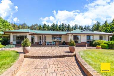 Farm For Sale - NSW - Wamboin - 2620 - Four Bedroom Homestead + Three Bedroom Cottage on 15 Acres  (Image 2)