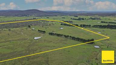 Farm For Sale - NSW - Boro - 2622 - Complete privacy, your future oasis  (Image 2)