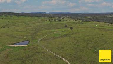 Farm For Sale - NSW - Boro - 2622 - Complete privacy, your future oasis  (Image 2)