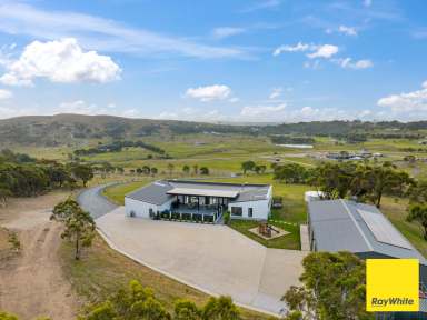 Farm For Sale - NSW - Wamboin - 2620 - LIVE LARGE LIKE NEVER BEFORE  (Image 2)