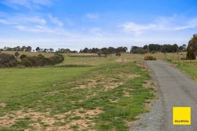 Farm For Sale - NSW - Wamboin - 2620 - Big Dreams and Big Views  (Image 2)