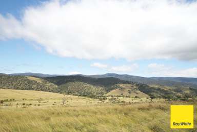 Farm For Sale - NSW - Bredbo - 2626 - Ready Set Go at Bredbo  (Image 2)